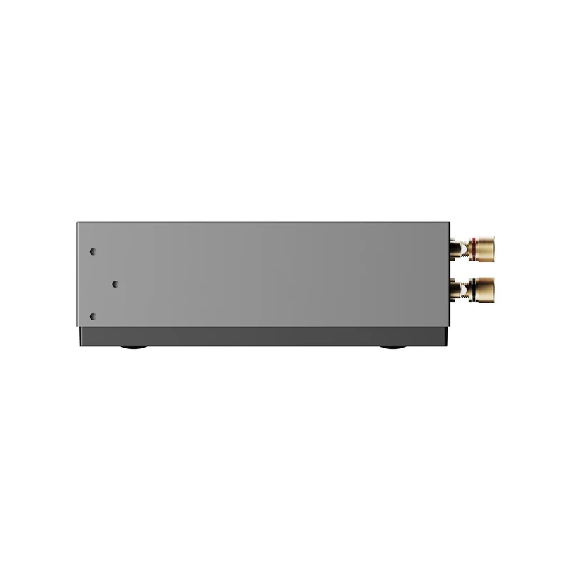 WiiM Amp CI MOD A80