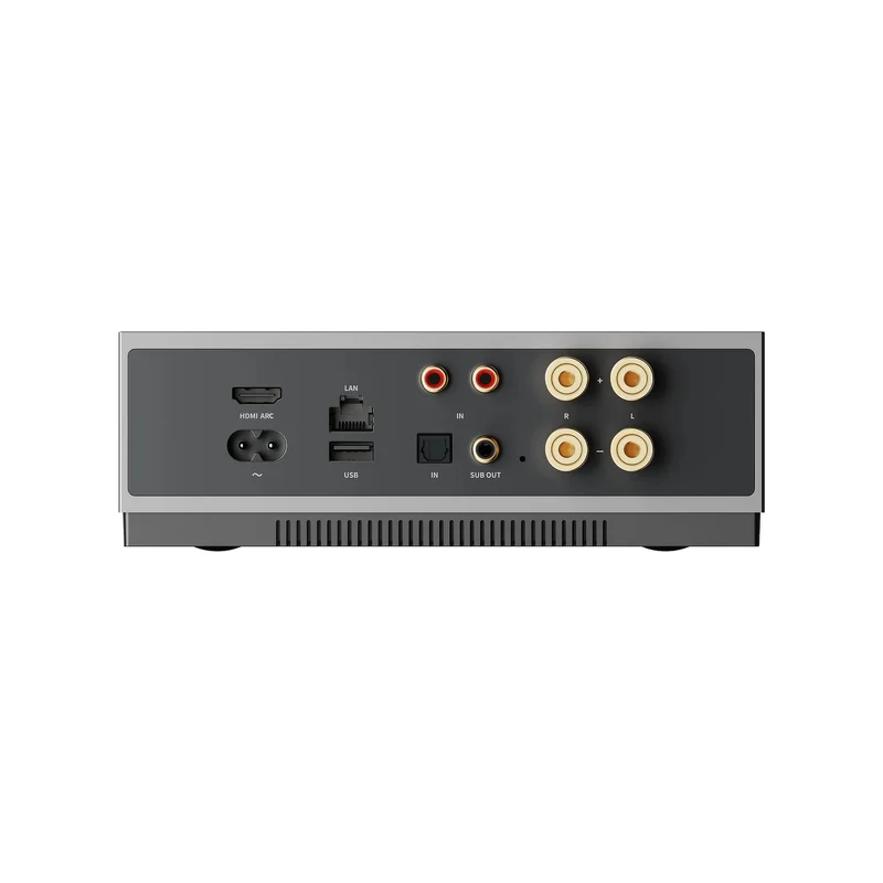 WiiM Amp CI MOD A80