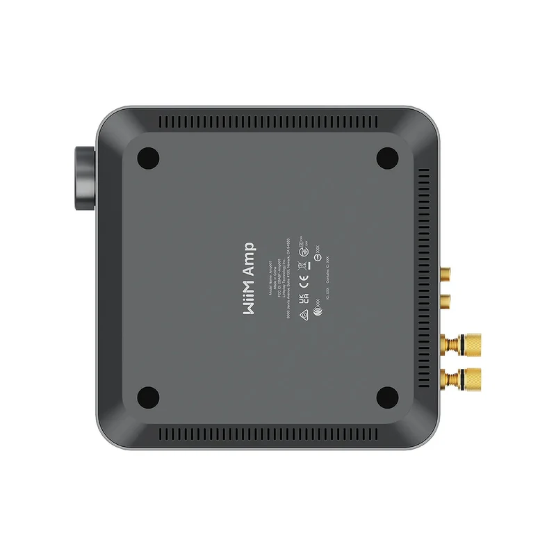 WiiM Amp