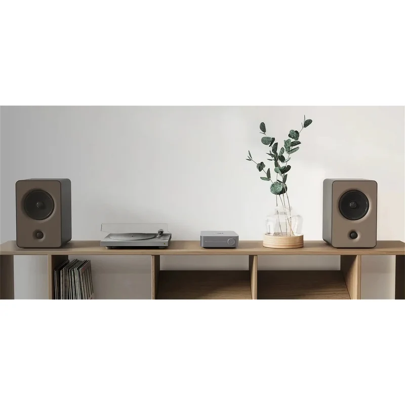 WiiM Amp