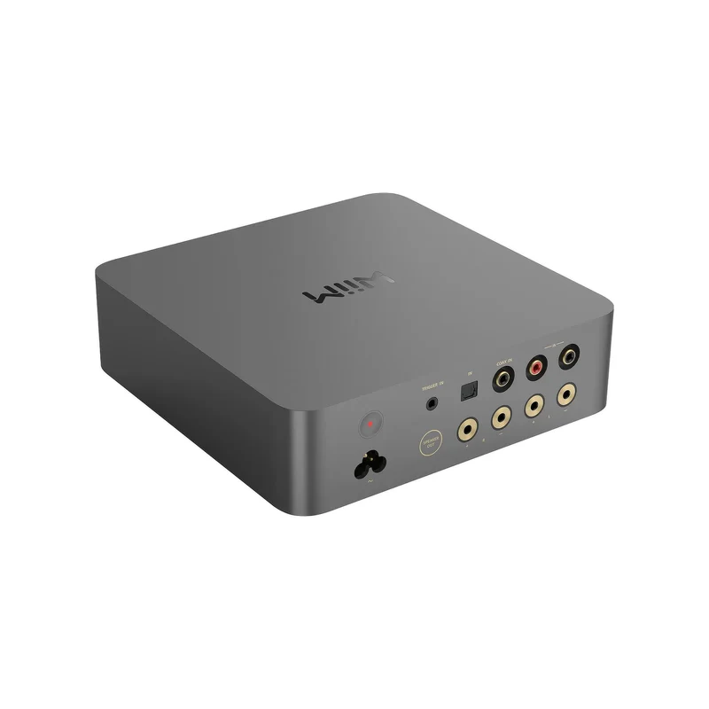 WiiM VibeLink Amp