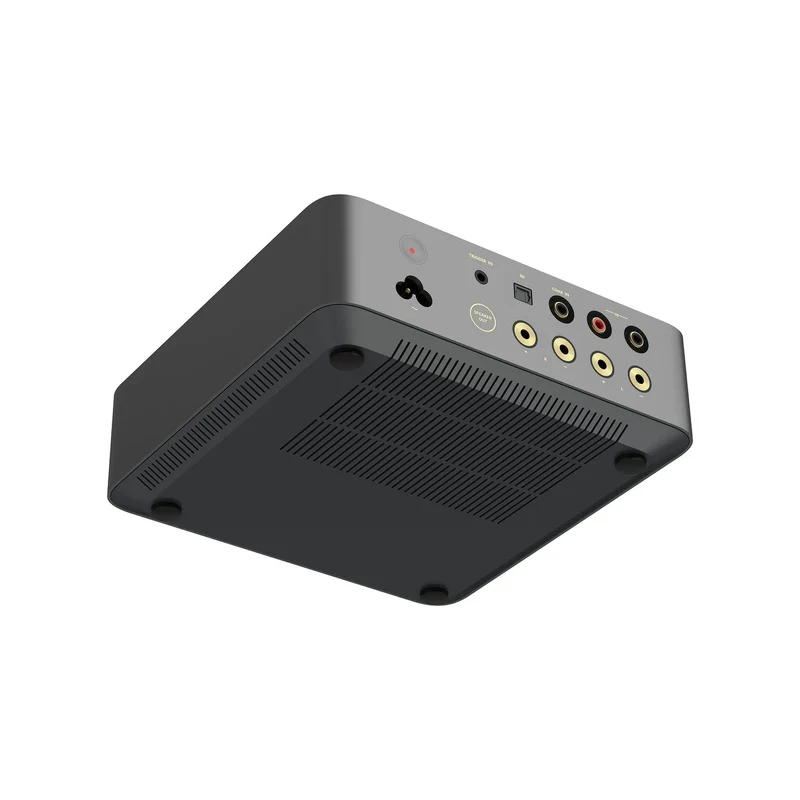 WiiM VibeLink Amp