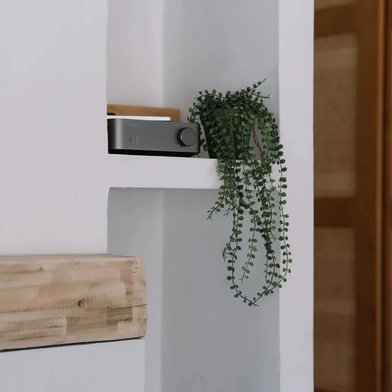 WiiM VibeLink Amp