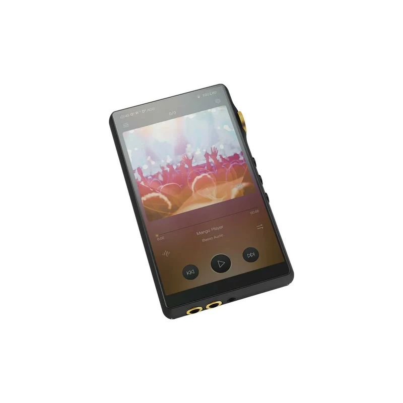 iBasso DX240