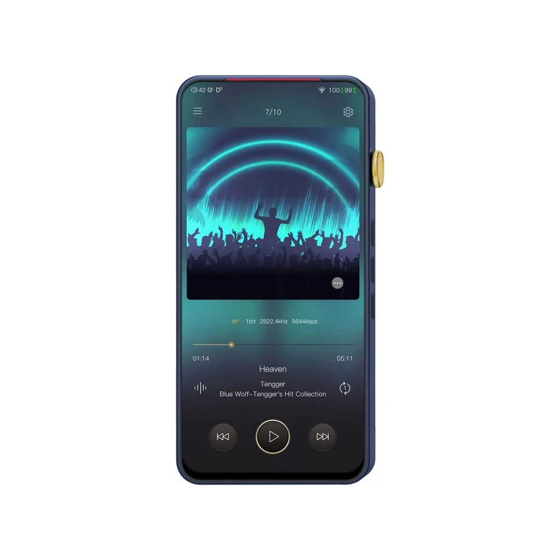 iBasso DX300