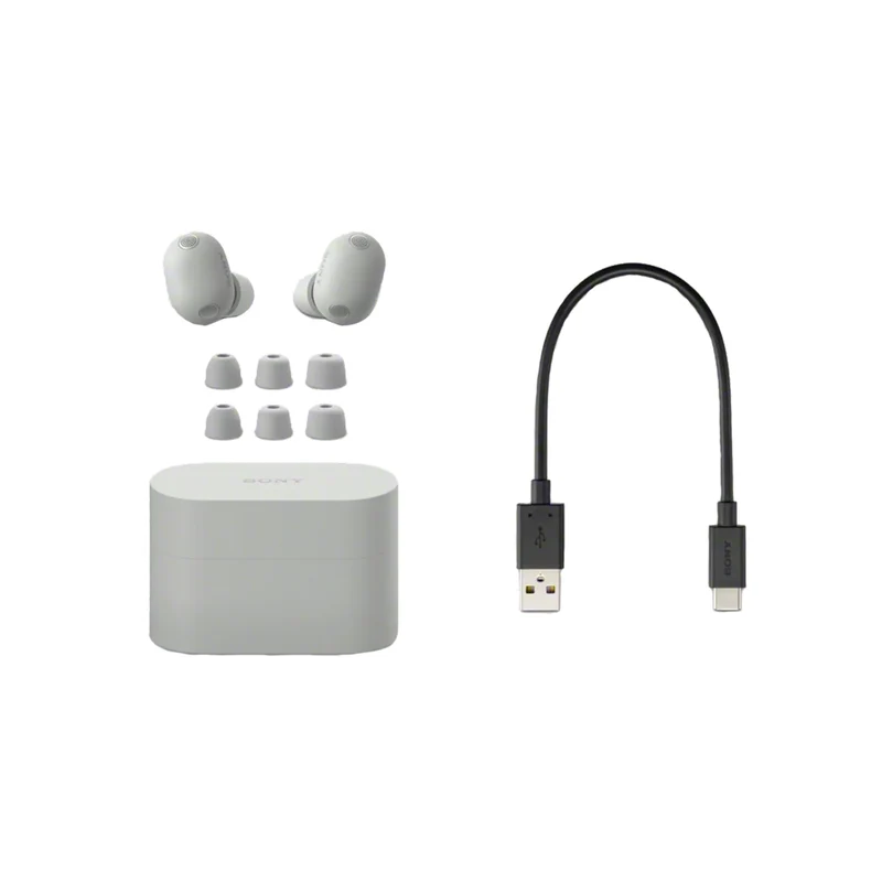 Sony WF-1000XM6 | Écouteurs intra-auriculaires - Jusqu'à 24 heures d'autonomie - Argent platine