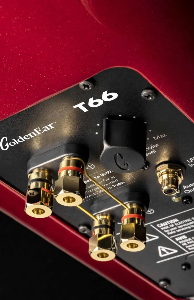 GoldenEar T66 - Enceintes de type colonne avec amplificateur de basses 500W (Occasion à l'état neuf)
