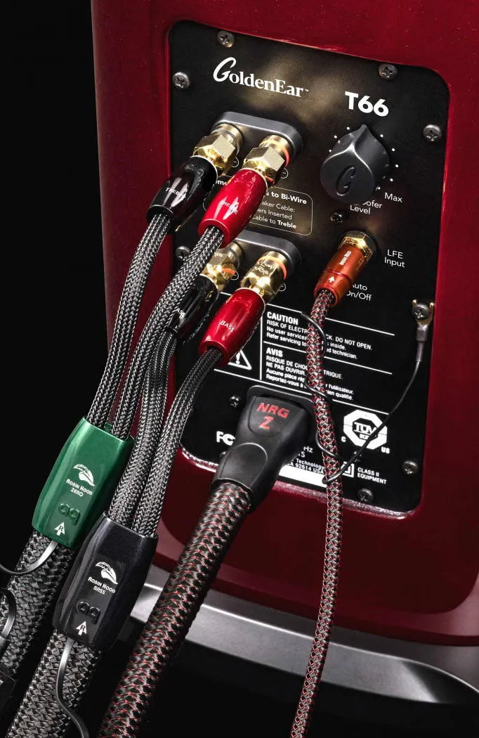 GoldenEar T66 - Enceintes de type colonne avec amplificateur de basses 500W (Occasion à l'état neuf)