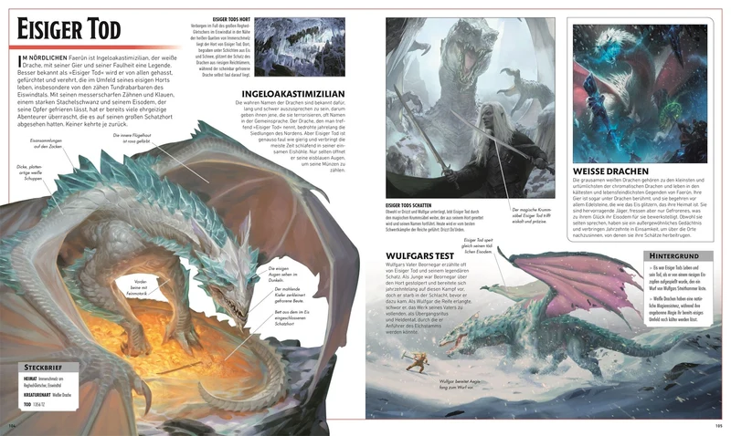 Dungeons & Dragons Die Legende von Drizzt, die illustrierte Enzyklopädie