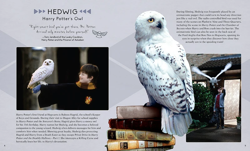 Harry Potter Hedwig 3D-Holzbausatz
