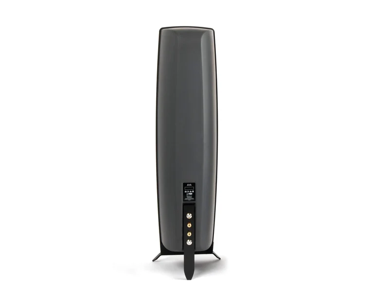 REGA AYA | Enceintes acoustiques de type colonne 2.5 voies