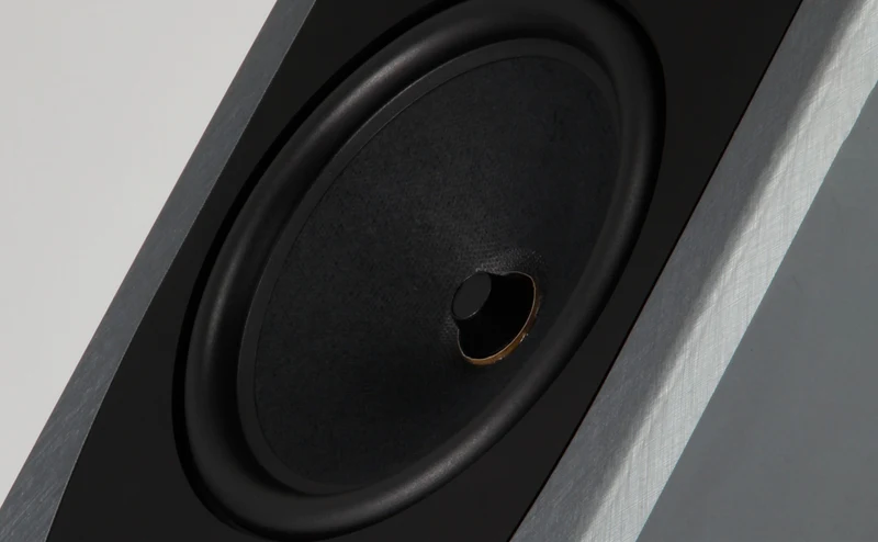 REGA AYA | Enceintes acoustiques de type colonne 2.5 voies