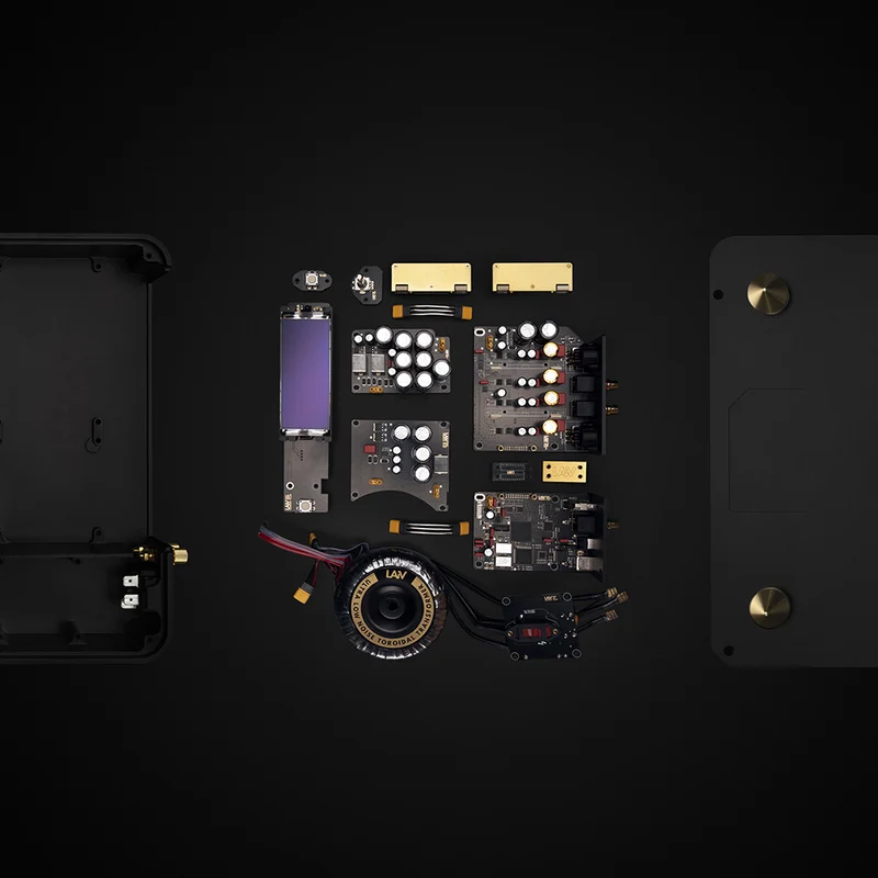Laiv Audio HARMONY DAC - High-End R2R DAC