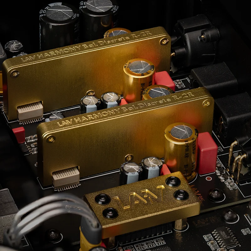 Laiv Audio HARMONY DAC - High-End R2R DAC
