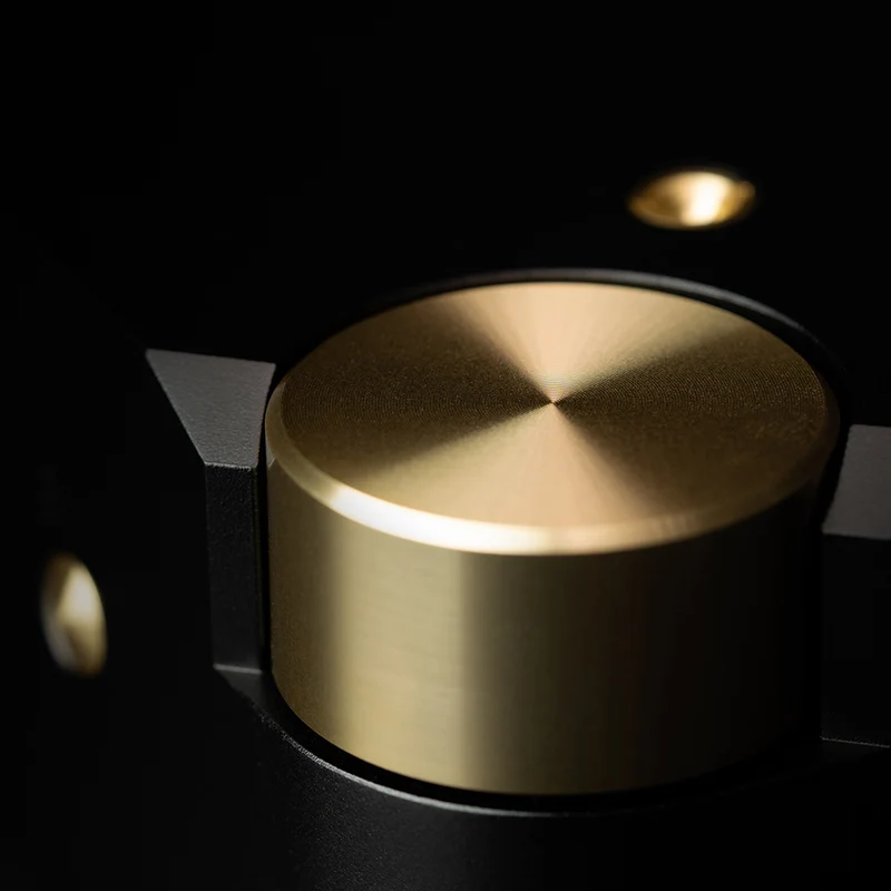 Laiv Audio HARMONY DAC - High-End R2R DAC