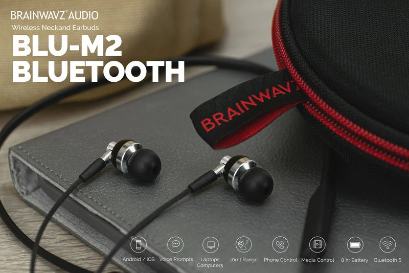 Écouteurs Bluetooth sans fil BLU-M2