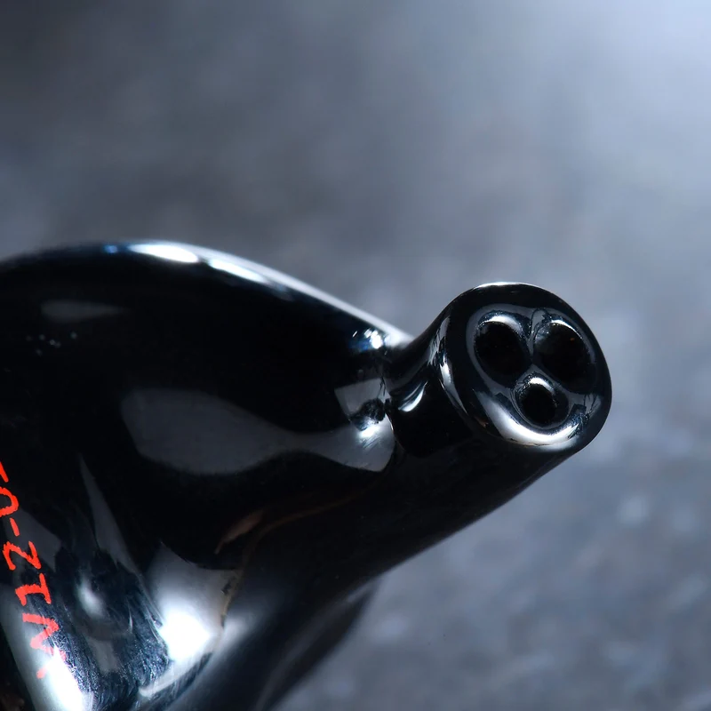 Aroma Audio Witch Girl W12 - 12 BA Flagship IEM