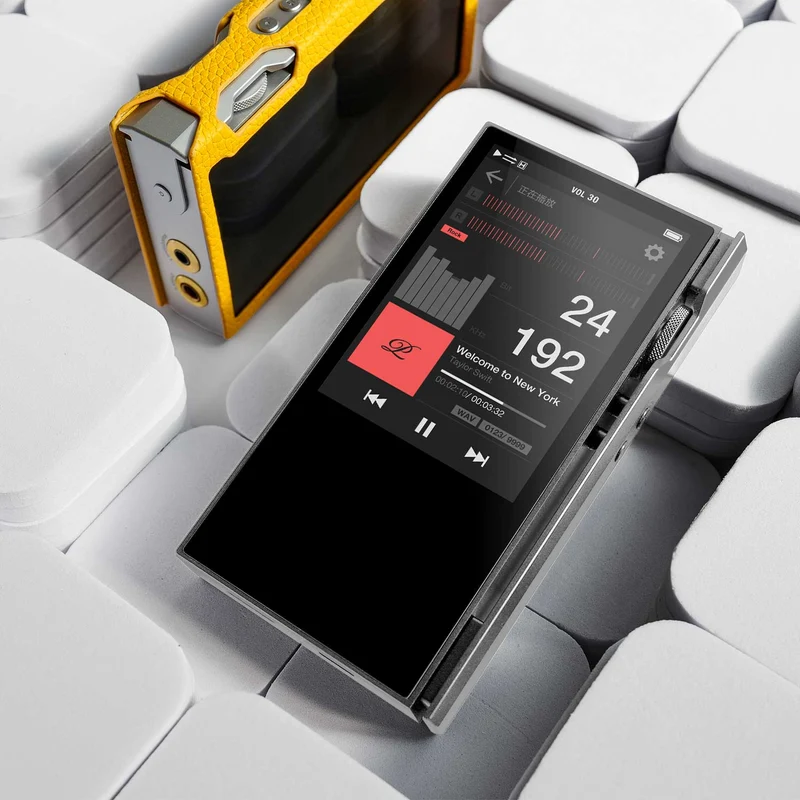 Luxury & Precision P6 Pro - Referenz R2R DAP