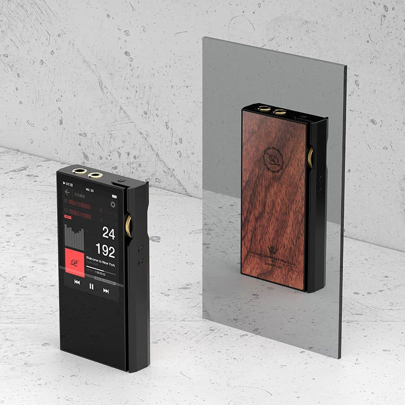 Luxury & Precision P6 Pro - Referenz R2R DAP