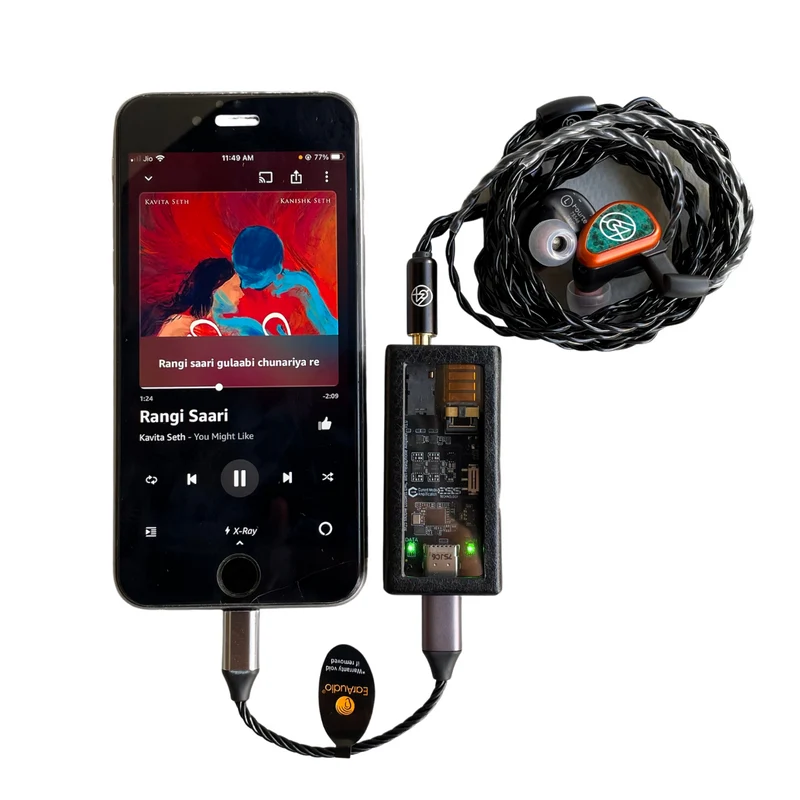 EarAudio Lightning to Type C Interconnect Cable