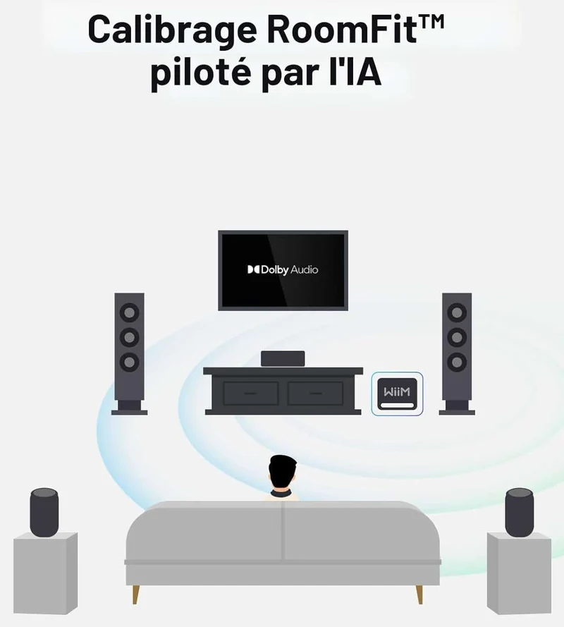 WiiMSUBPRO | Caisson de basses 250Watts, haut-parleur de graves 8'' (Noir)
