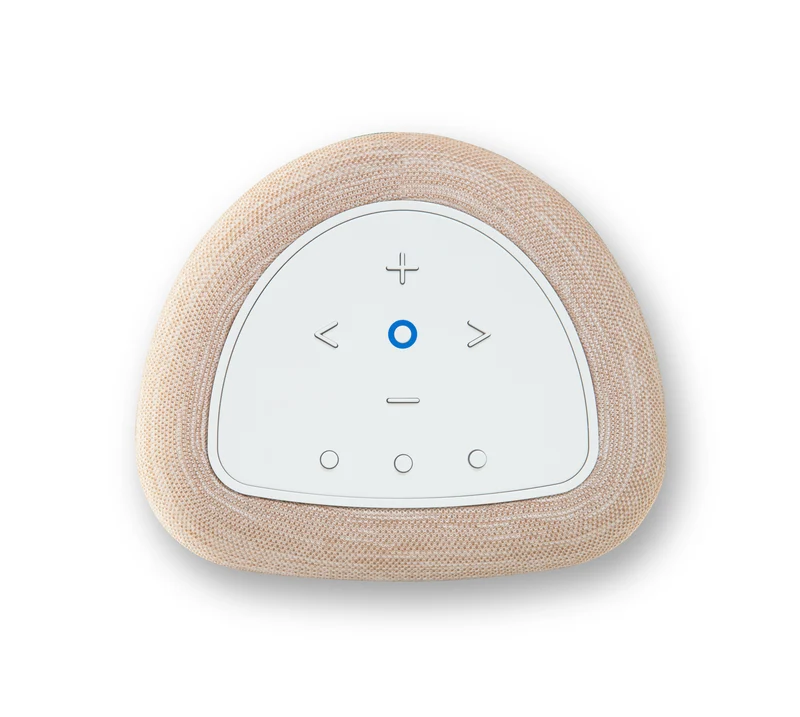 Bluesound PULSE FLEX | Enceinte Bluetooth compacte