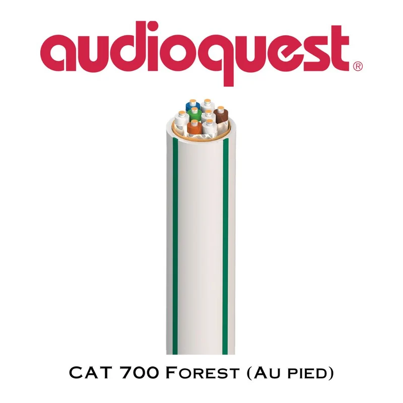 AudioQuest CAT 700 Forest CL3/FT4 en vrac, conçu pour une installation murale (au pied)