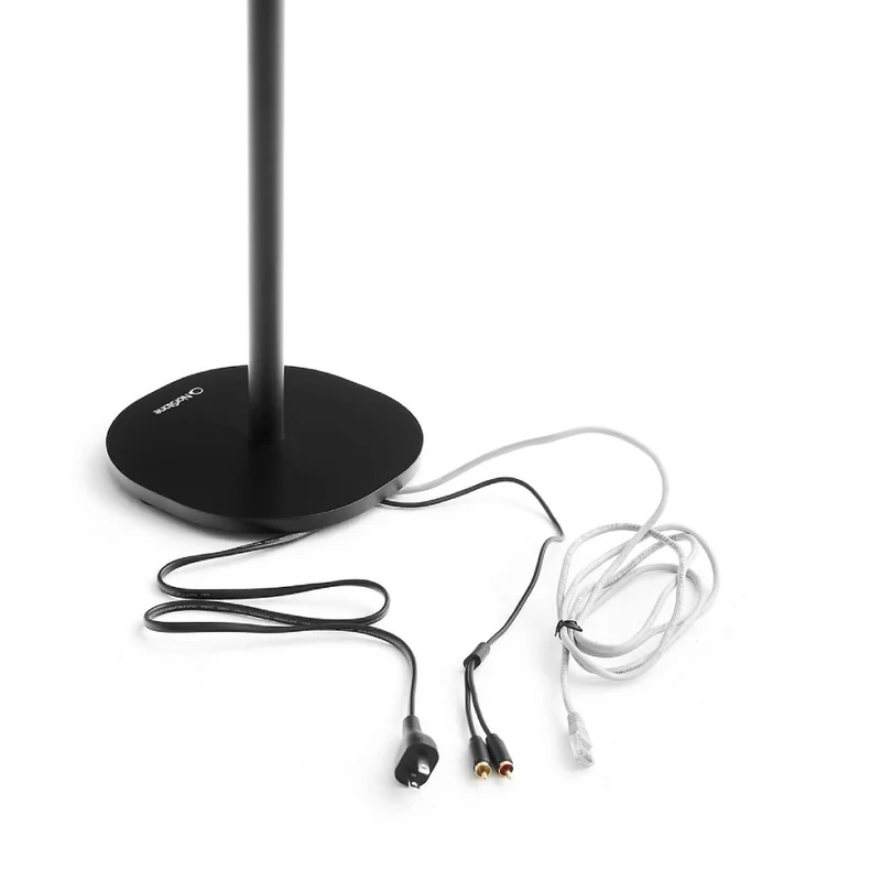 Vloerstandaard voor WiiM Sound