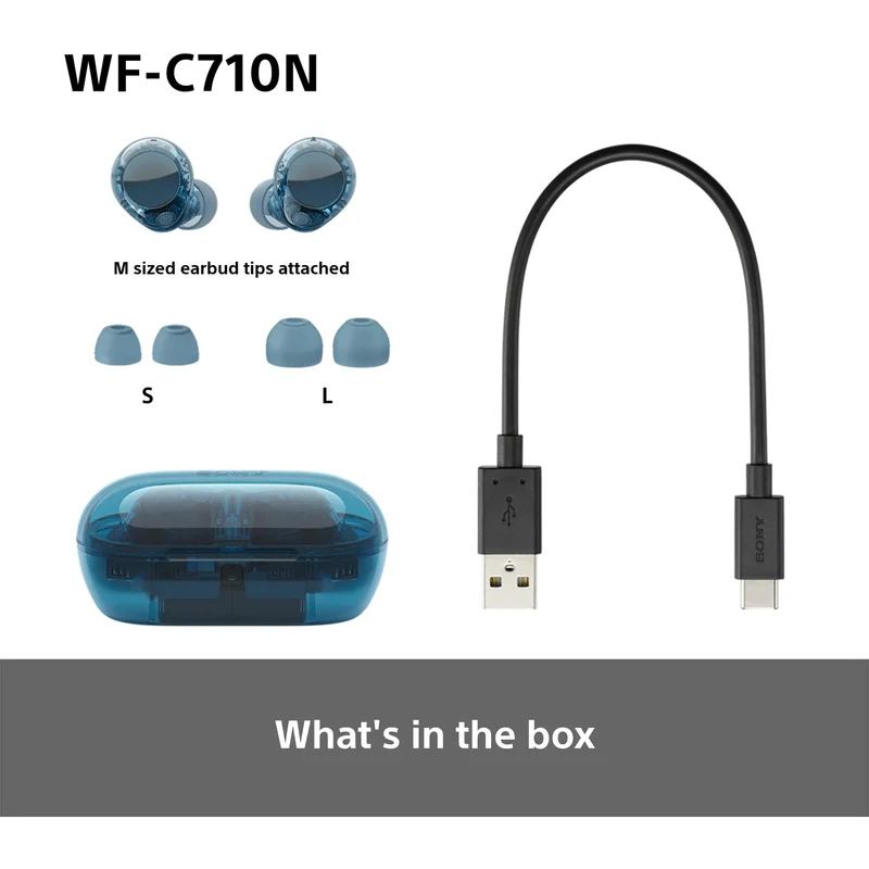 Sony WF-C710N Noise Cancelling True Wireless Earbuds