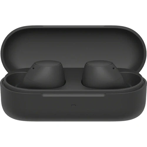 Sony WF-C510 True Wireless Earbuds