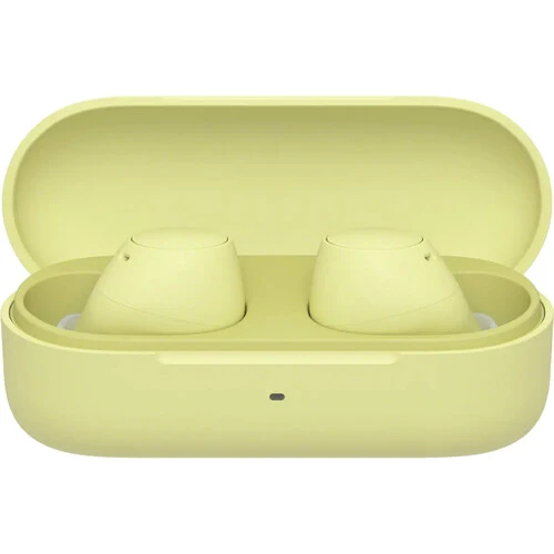 Sony WF-C510 True Wireless Earbuds