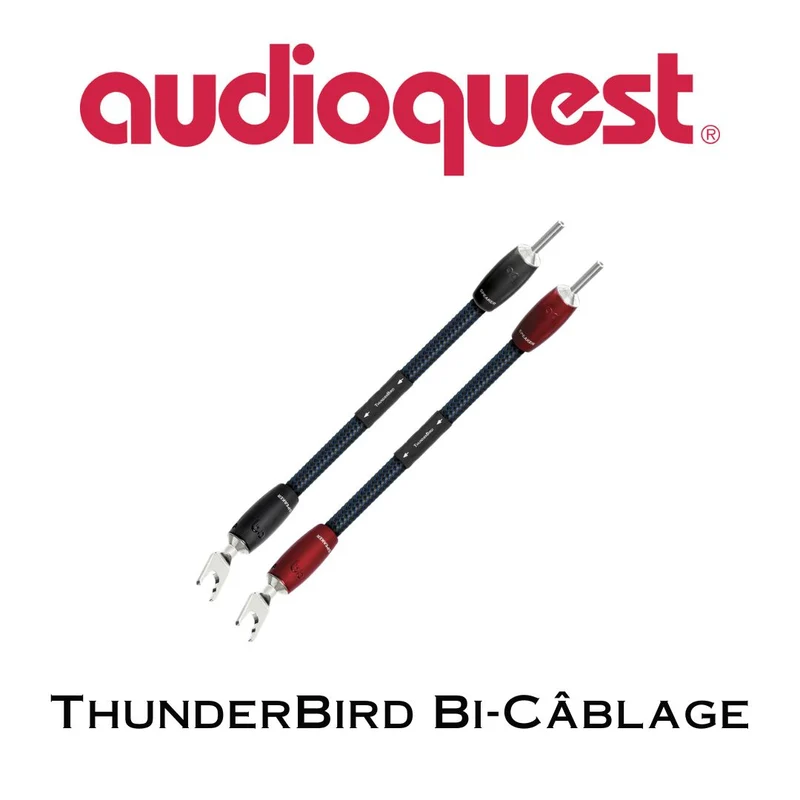 Audioquest ThunderBird Bi-Câblage Pulls avec 500 Series Connecteurs
