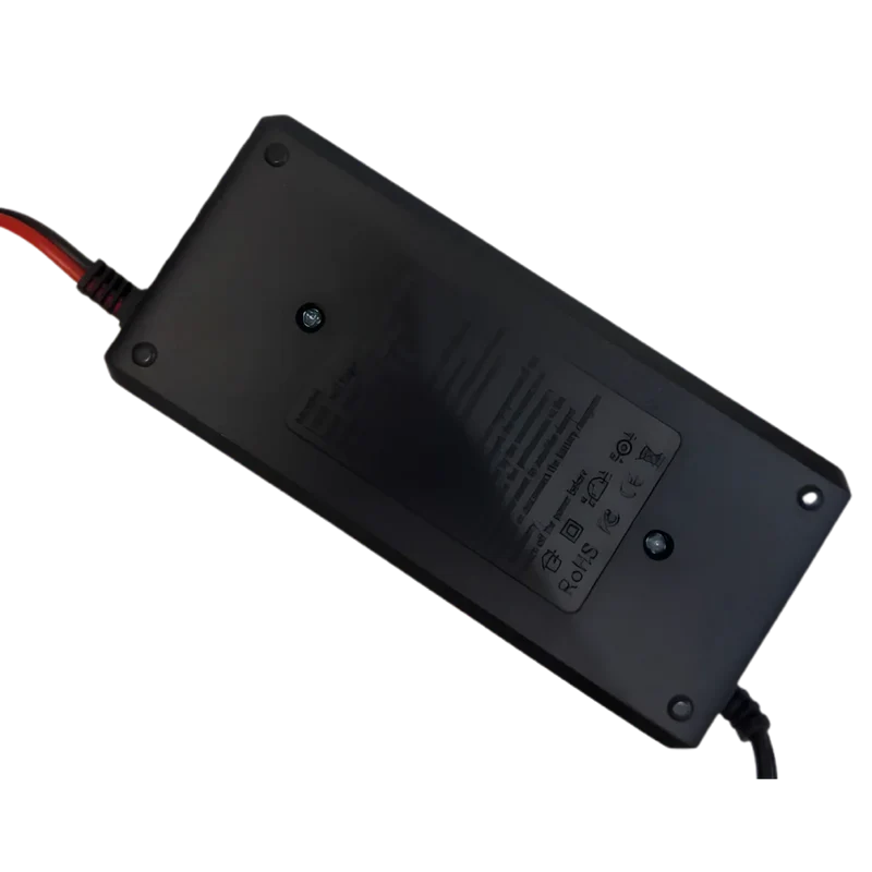 Chargeur de batterie LiFePo4 29.2V 5A avec pinces