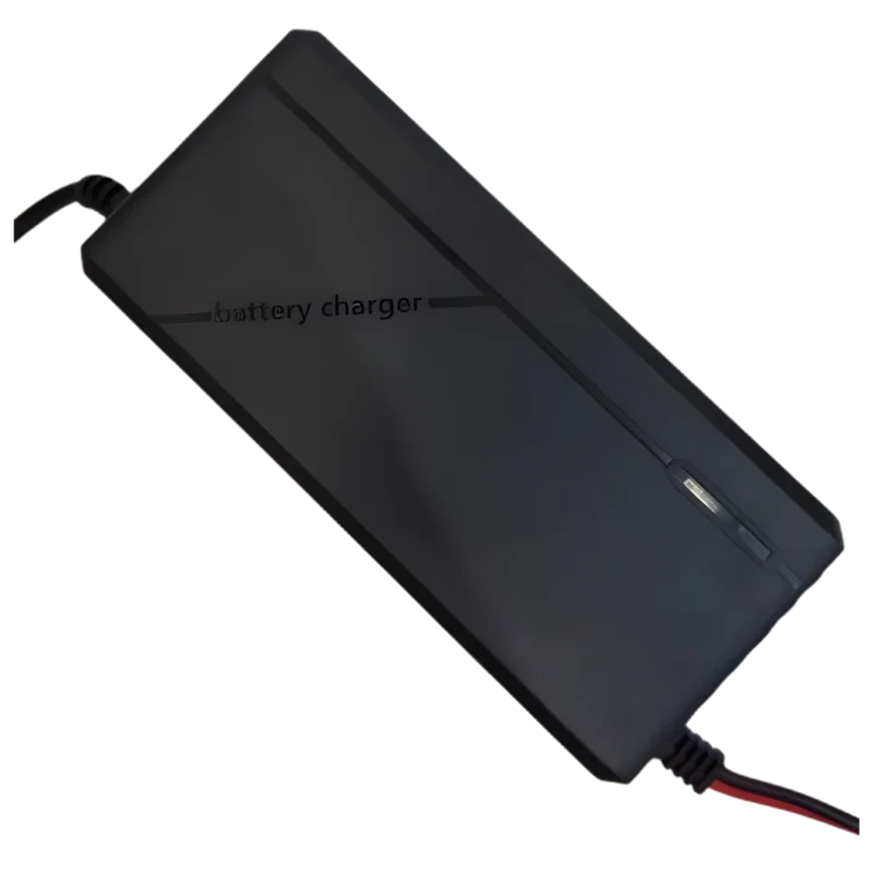Chargeur de batterie LiFePo4 29.2V 5A avec pinces