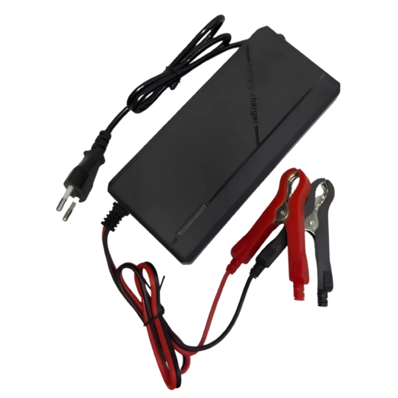 Chargeur de batterie LiFePo4 29.2V 5A avec pinces