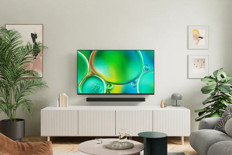 Sony Bravia 2 II K-65S20M2 : Téléviseur LED 4K, HDR, 65''
