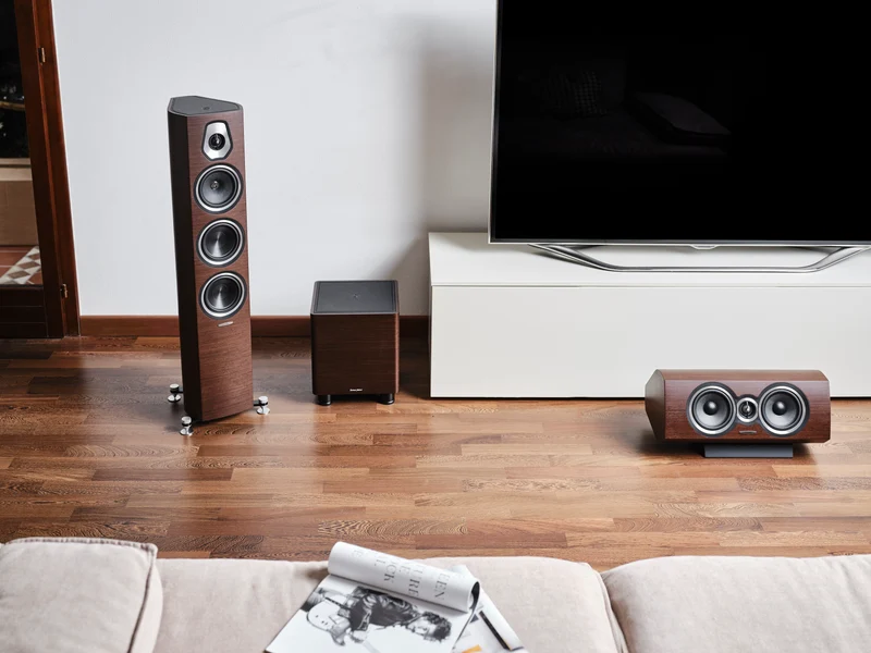 Sonus Faber GRAVIS III | Caisson de basses Haute-Fidélité 600 Watts