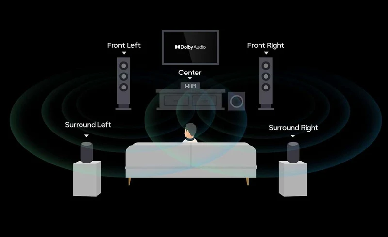 WiiMAMPULTRA | Amplificateur de streaming 100 Watts par canal (Space Grey)