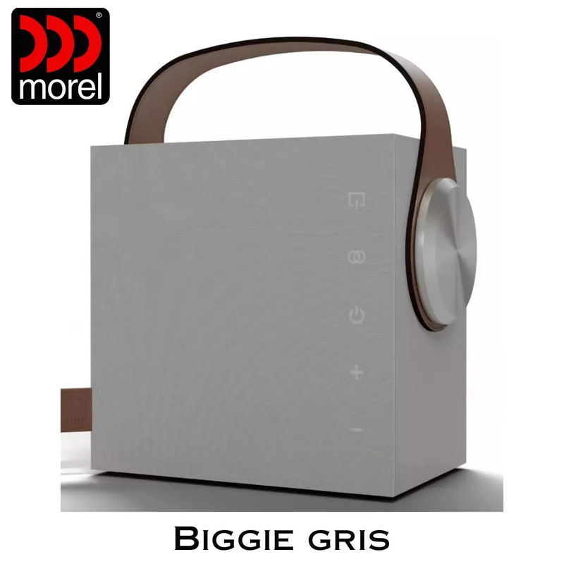 Enceinte portable Bluetooth 5.3 BLE Bass Reflex 2 voies 60 Watts