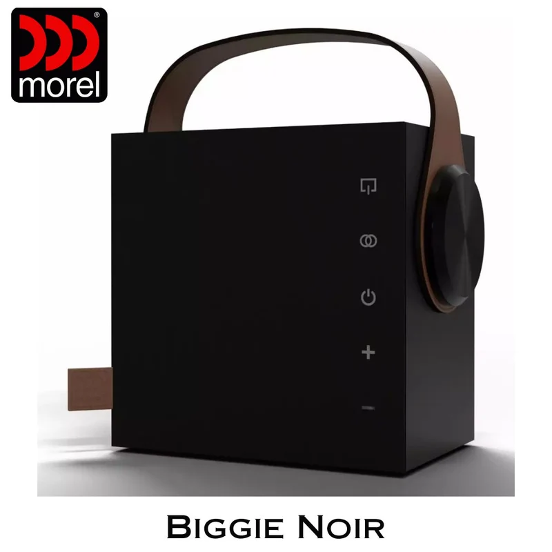 Enceinte portable Bluetooth 5.3 BLE Bass Reflex 2 voies 60 Watts