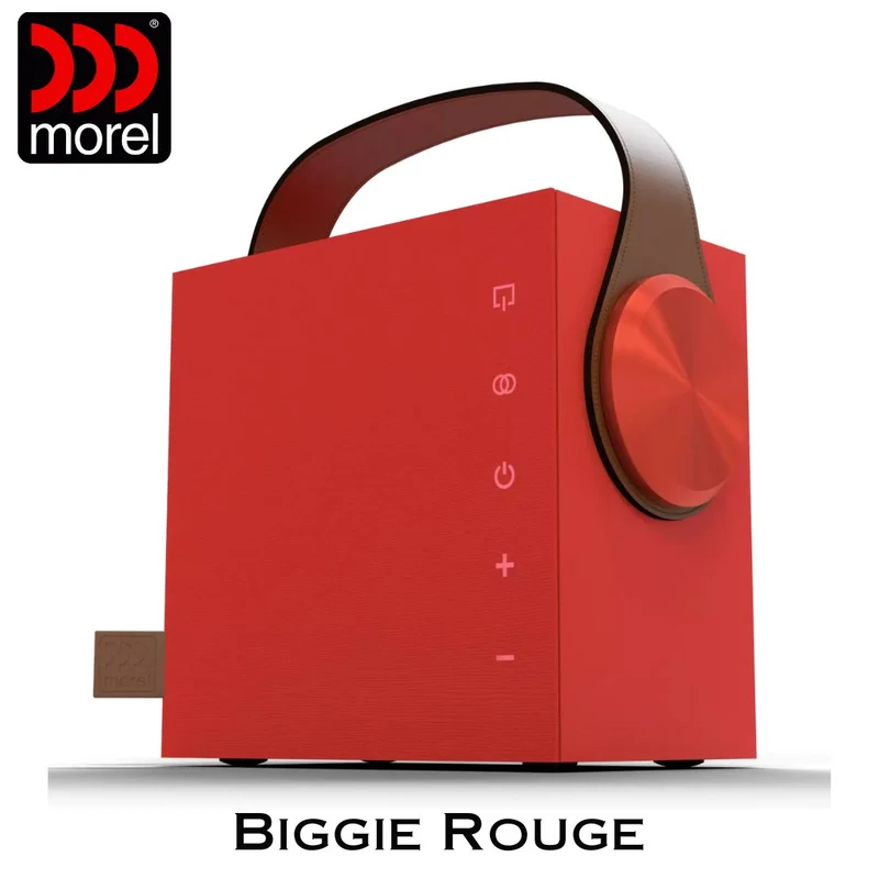 Enceinte portable Bluetooth 5.3 BLE Bass Reflex 2 voies 60 Watts