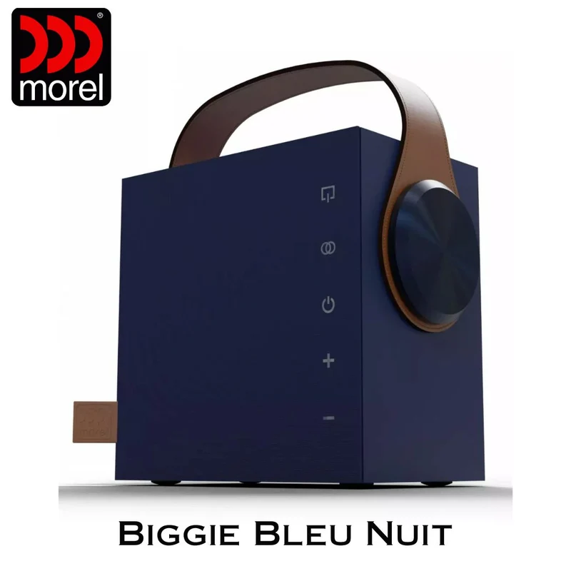Enceinte portable Bluetooth 5.3 BLE Bass Reflex 2 voies 60 Watts