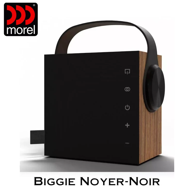 Enceinte portable Bluetooth 5.3 BLE Bass Reflex 2 voies 60 Watts