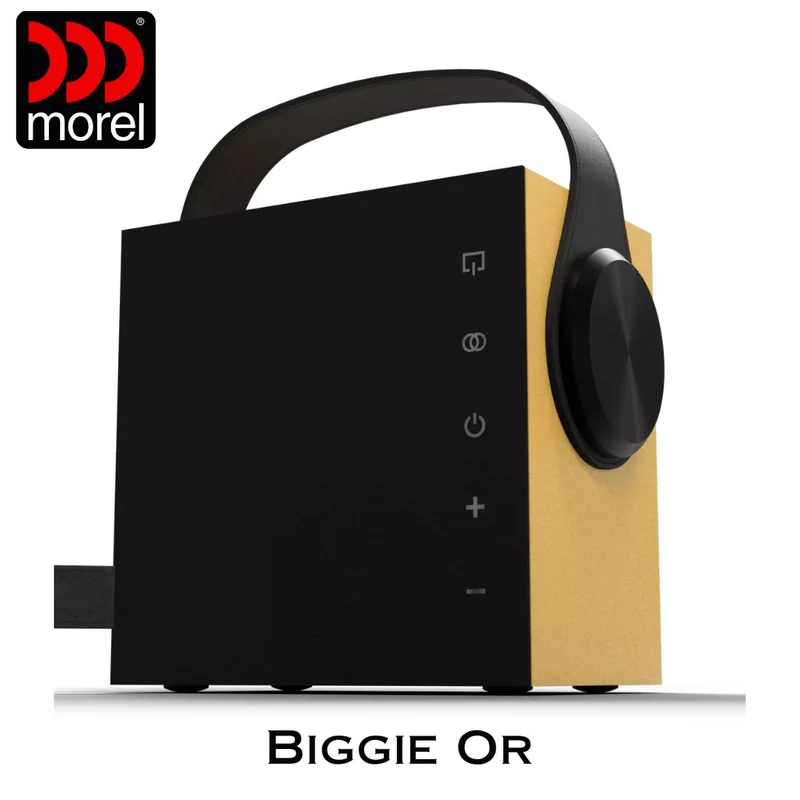 Enceinte portable Bluetooth 5.3 BLE Bass Reflex 2 voies 60 Watts