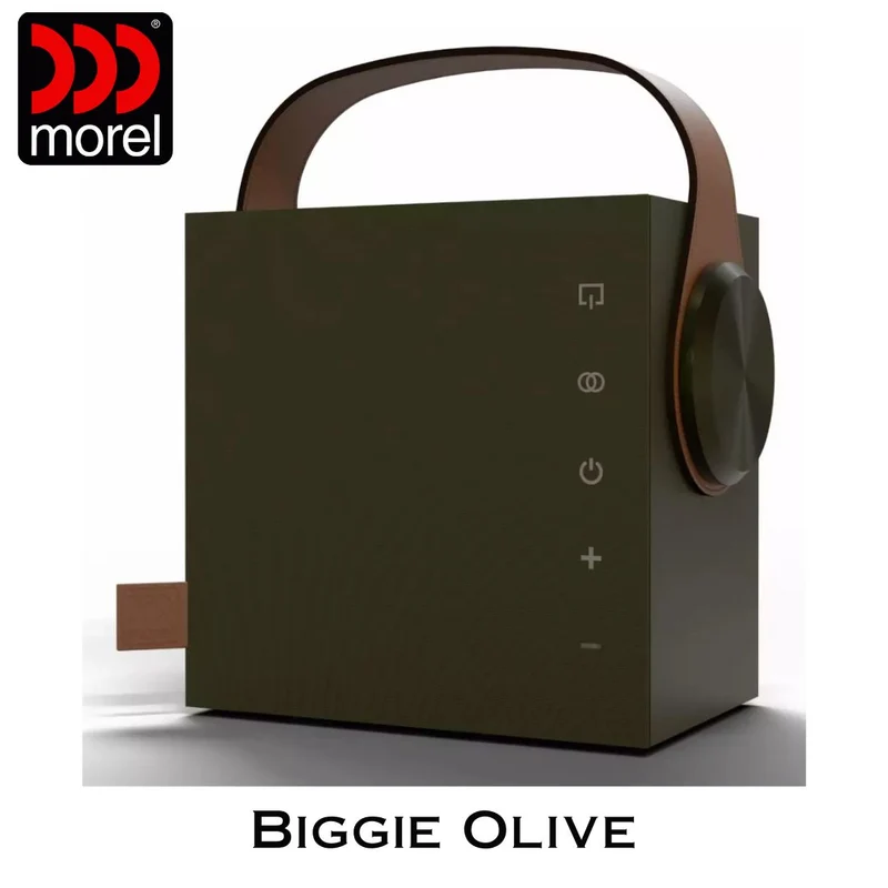 Enceinte portable Bluetooth 5.3 BLE Bass Reflex 2 voies 60 Watts