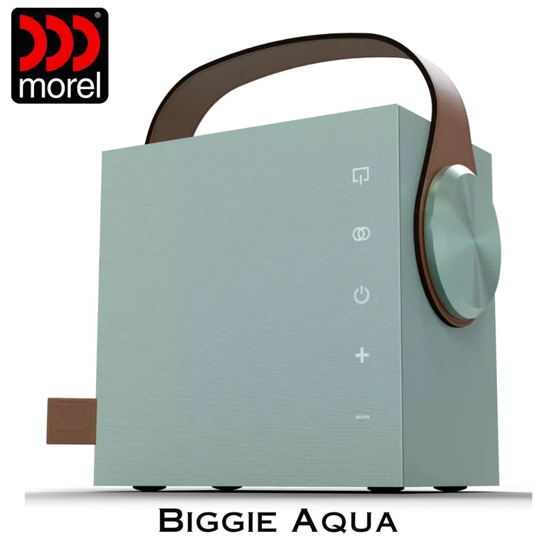 Enceinte portable Bluetooth 5.3 BLE Bass Reflex 2 voies 60 Watts