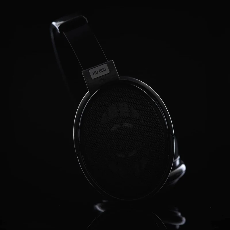 Sennheiser HD 650 Open Back Headphones
