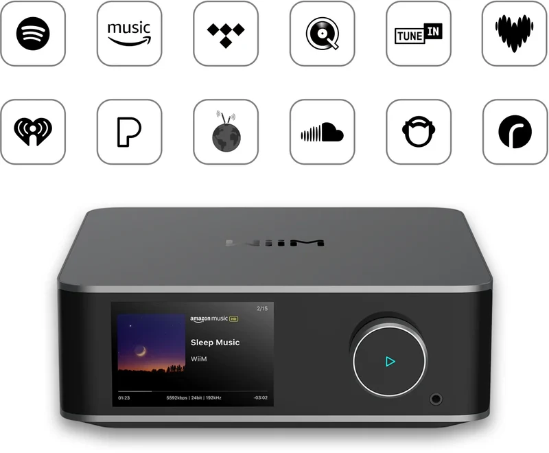WiiMULTRA | Lecteur réseau au design élégant et son exceptionnel (Space Grey)