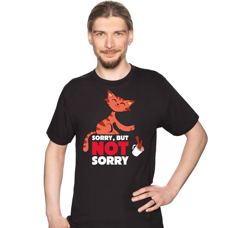 Problèmes de propriétaire de chat