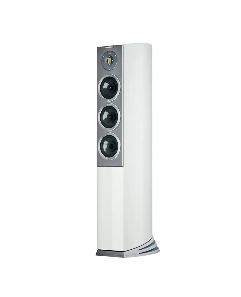 Audiovector R8 Arrete - Enceintes de type colonne haute-fidélité pour les audiophiles!